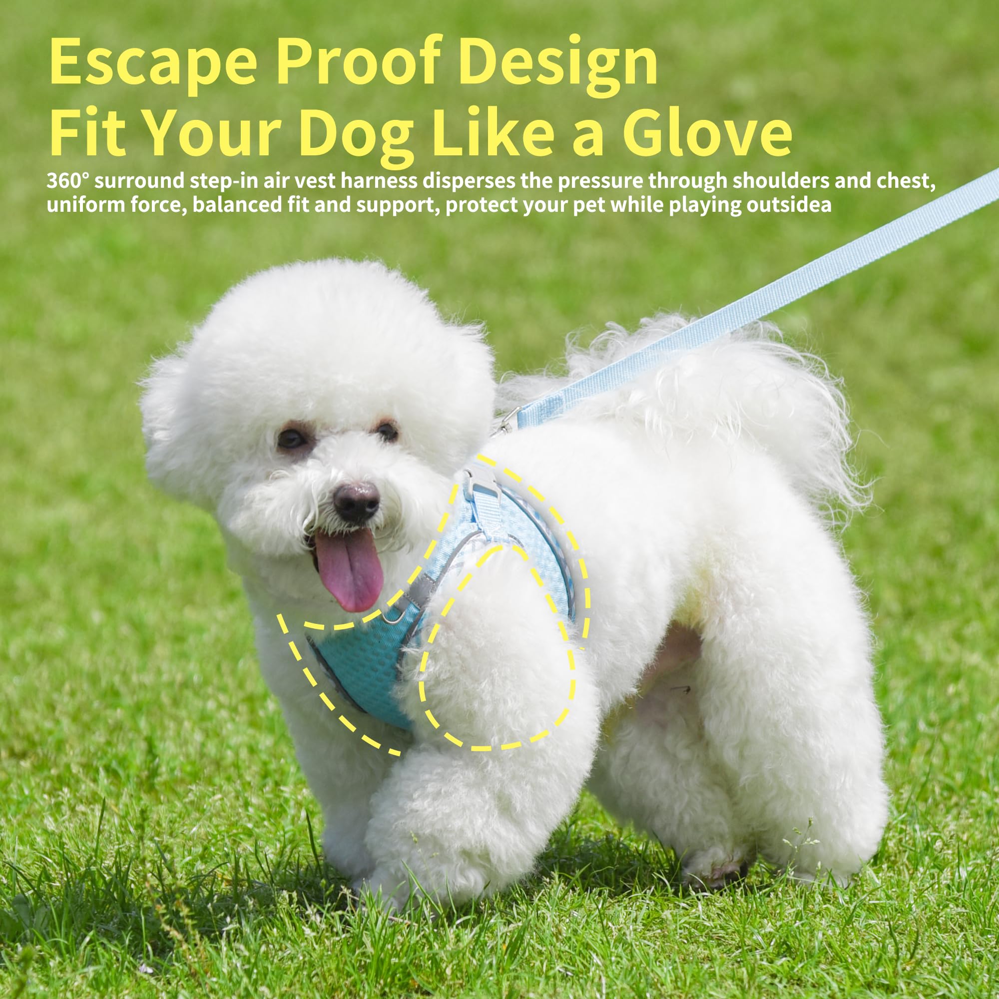 Joypaws Soft Dog Harness And Leash Set For Walking, Summer Step In Vest Harness, Reflective Bands, Ultra Thin Breathable Pet Sup